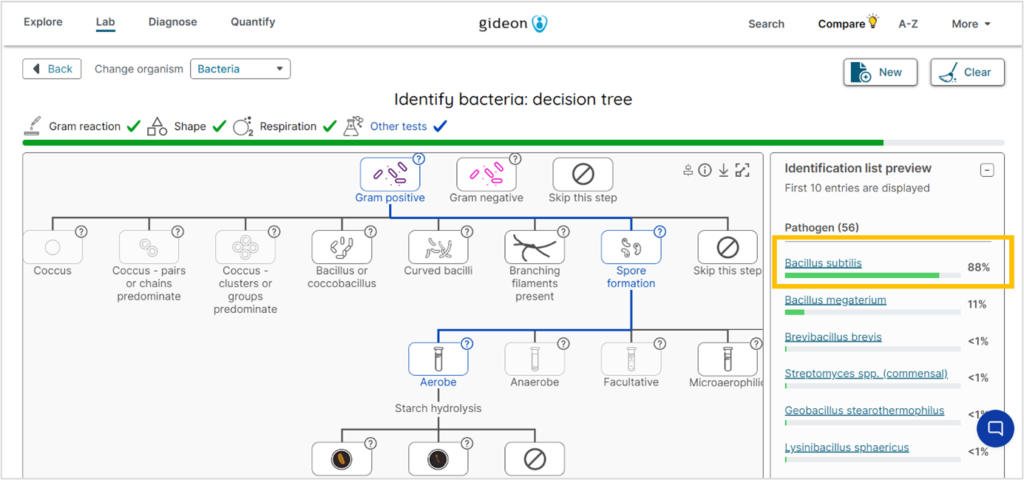 Dichotomous key for Bacillus Subtilis. Screenshot from GIDEON's Bacterial Unknown Decision Tree. 